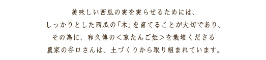 美味しい西瓜の実を実らせるためには、しっかりとした西瓜の「木」を育てることが大切であり、その為に、和久傳の＜京たんご姫＞を栽培くださる農家の谷口さんは、土づくりから取り組まれています。