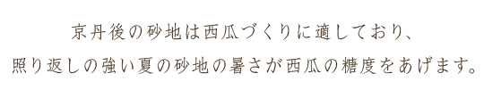 京丹後の砂地は西瓜づくりに適しており、照り返しの強い夏の砂地の暑さが西瓜の糖度をあげます。