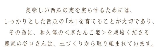 美味しい西瓜の実を実らせるためには、しっかりとした西瓜の「木」を育てることが大切であり、その為に、和久傳の＜京たんご姫＞を栽培くださる農家の谷口さんは、土づくりから取り組まれています。